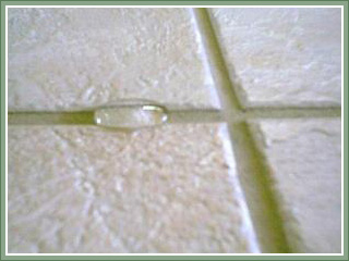 Tile Grout line cleaning